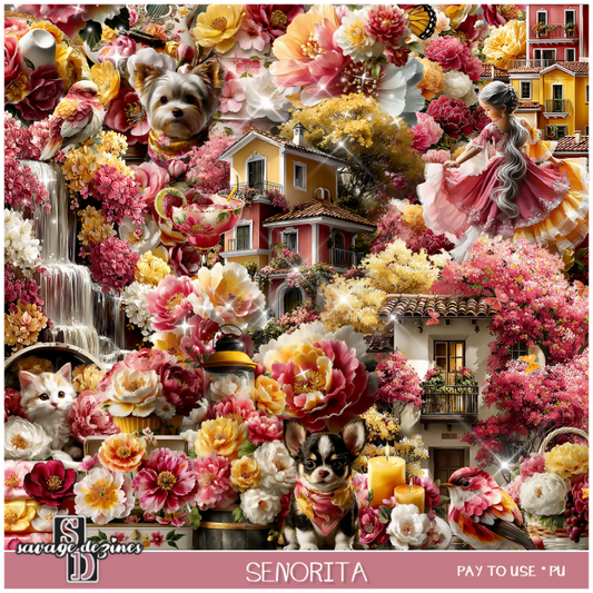 SD-Senorita2