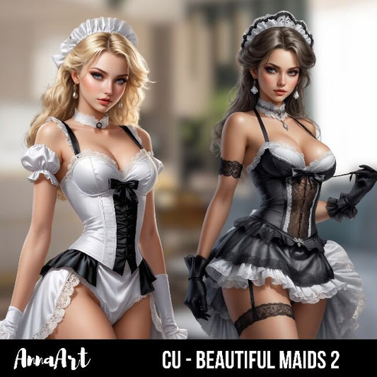 Beautiful maids 2