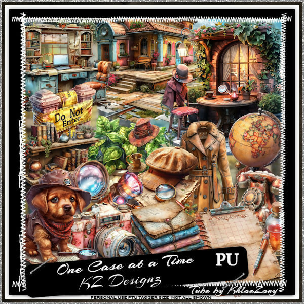 One Case at a Time 2 PREVIEW PU