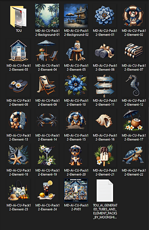 MD-AI-CU-Pack12-PV02