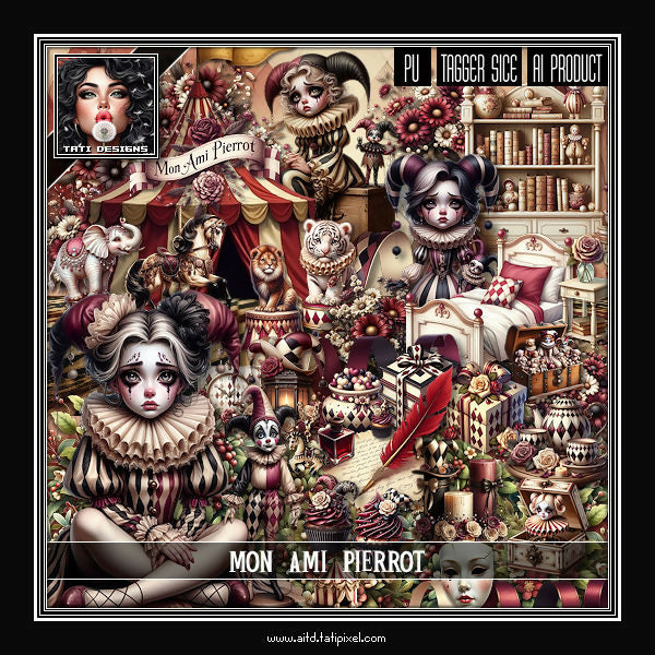 TD - Mon Ami Pierrot