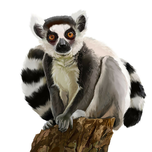 Lemur