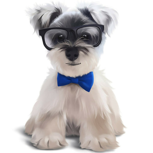 A Terrier named Duffy