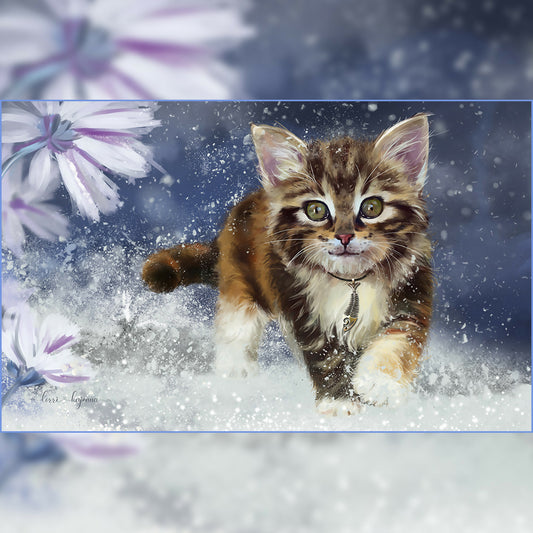 Winter kitten
