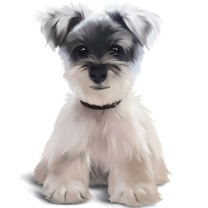 A Terrier named Duffy