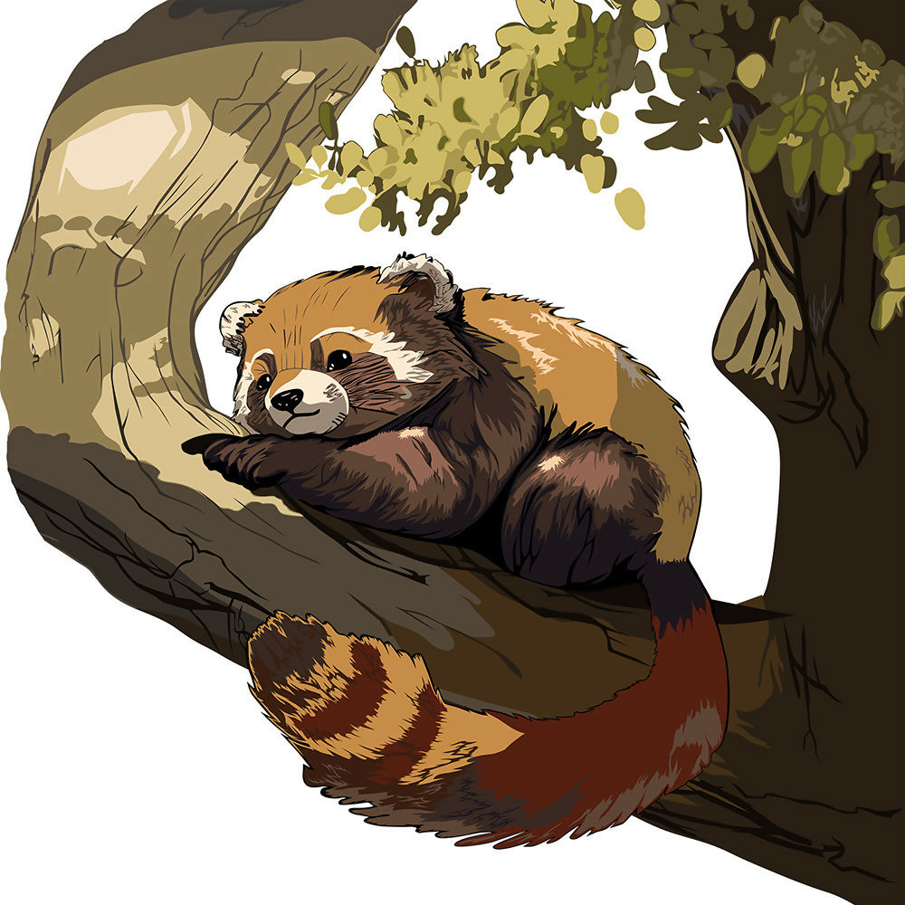 Lying Red Panda