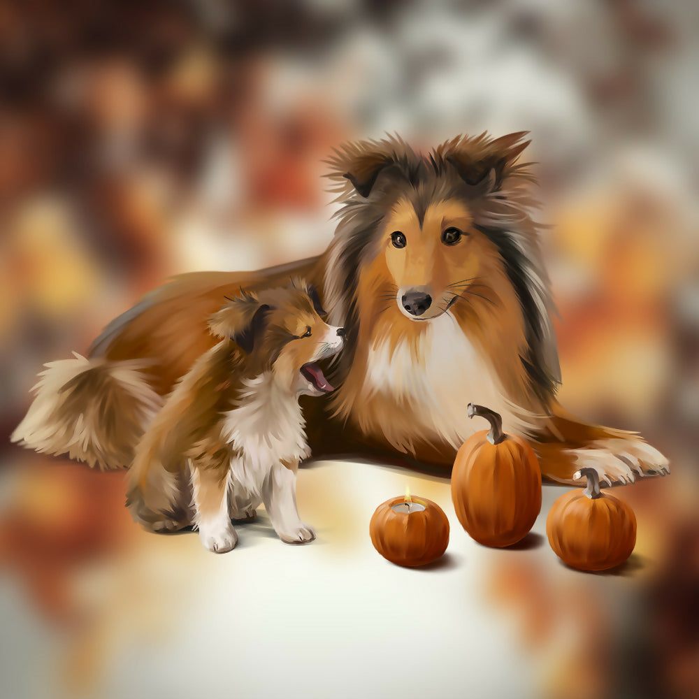 Sheltie family