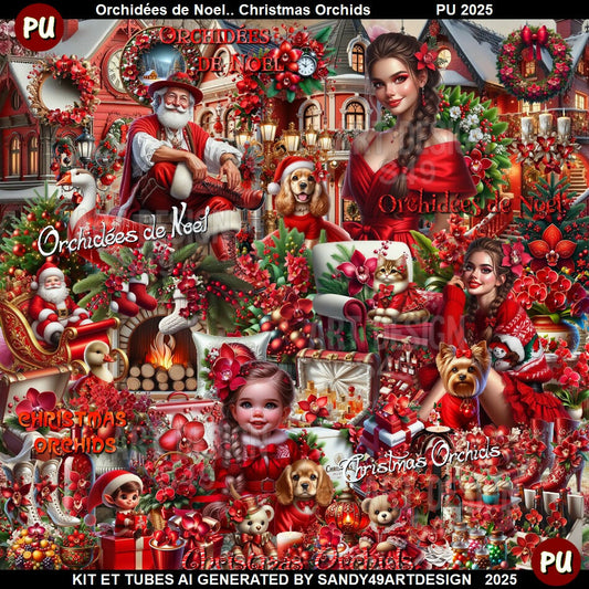 Orchidée de Noël 2025