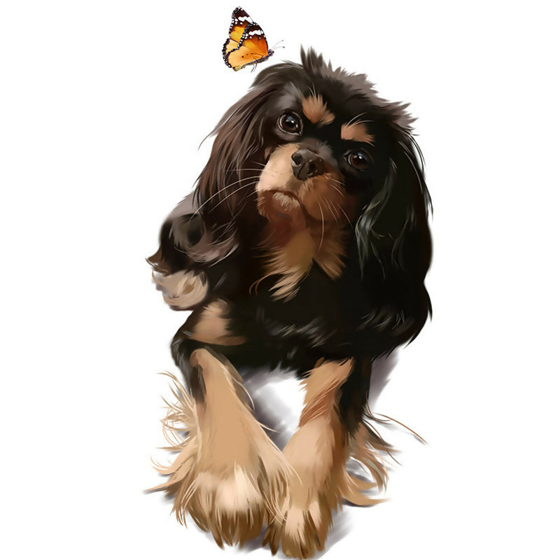 Indy and butterflies