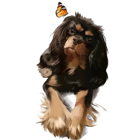 Indy and butterflies