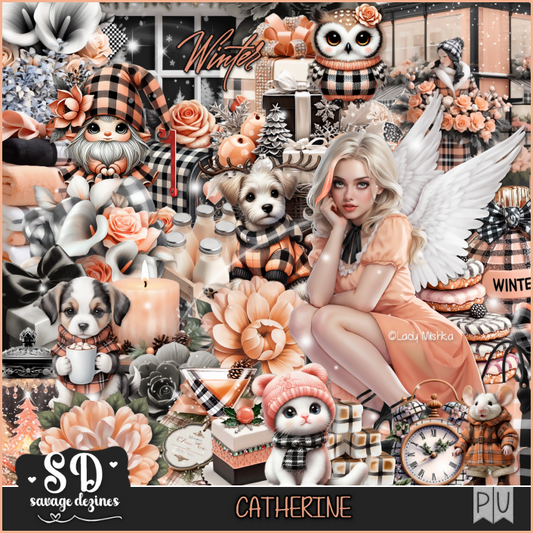 SD-Catherine