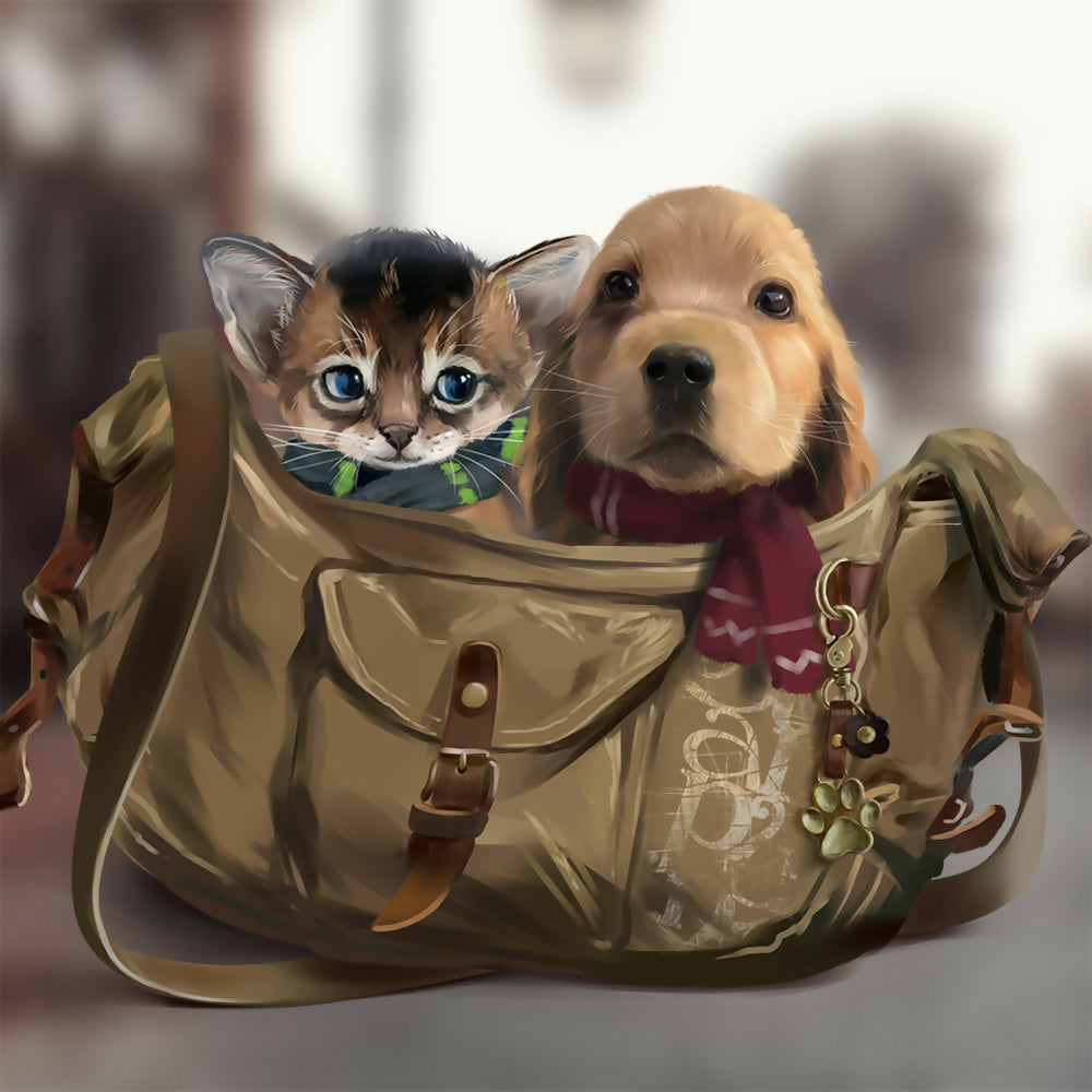 We are going on a journey