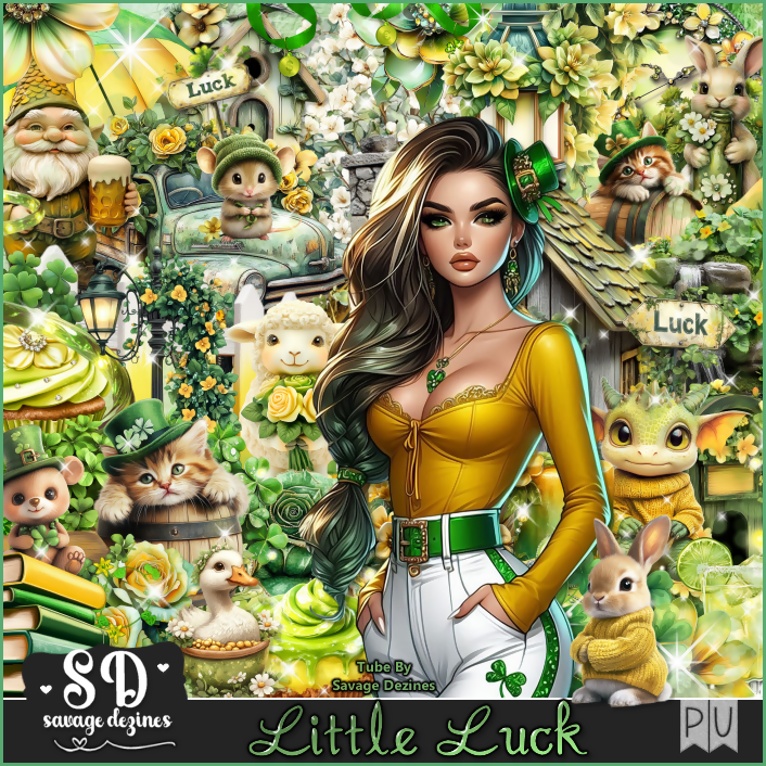 SD-LittleLuckKit