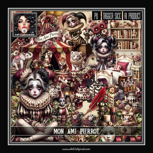 TD - Mon Ami Pierrot