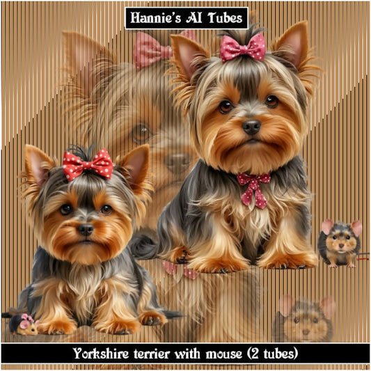 Yorkshire terrier with mouse