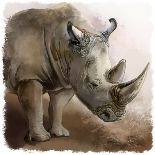 Rhinos