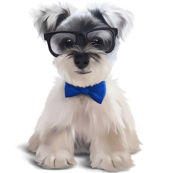 A Terrier named Duffy