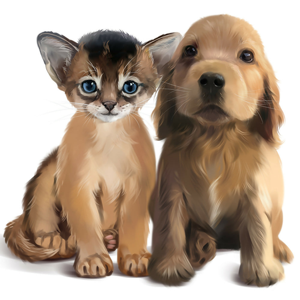 We are going on a journey