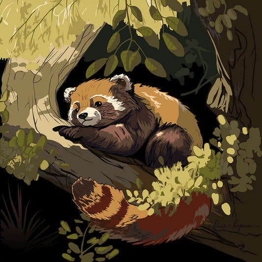 Lying Red Panda