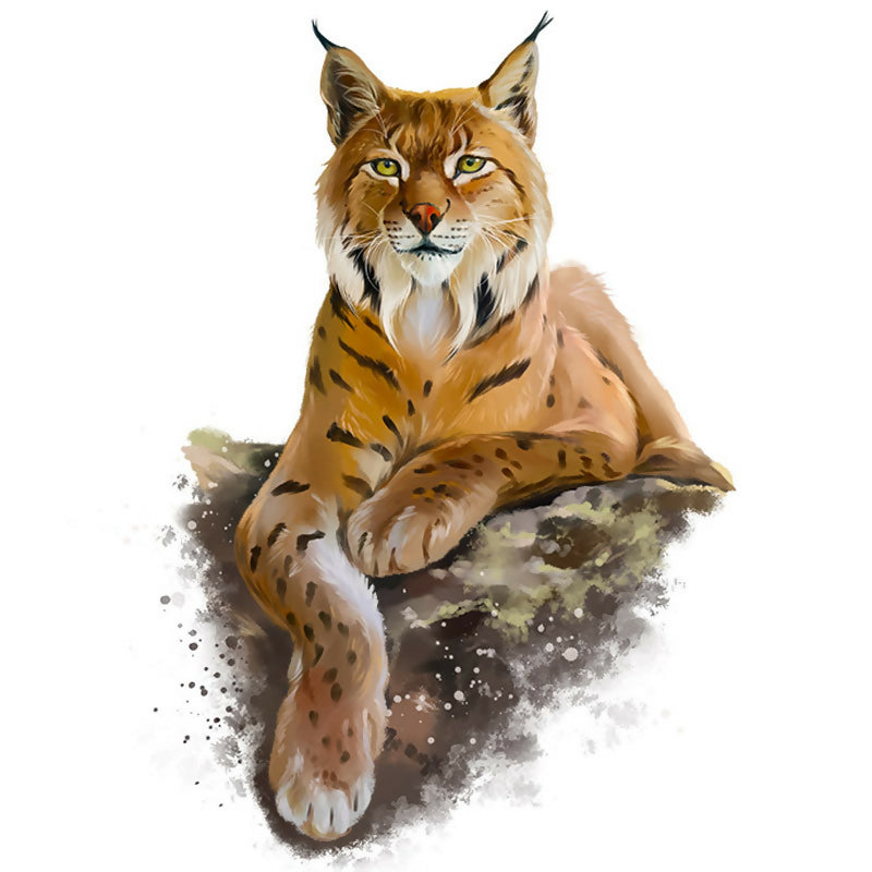 The Eurasian lynx