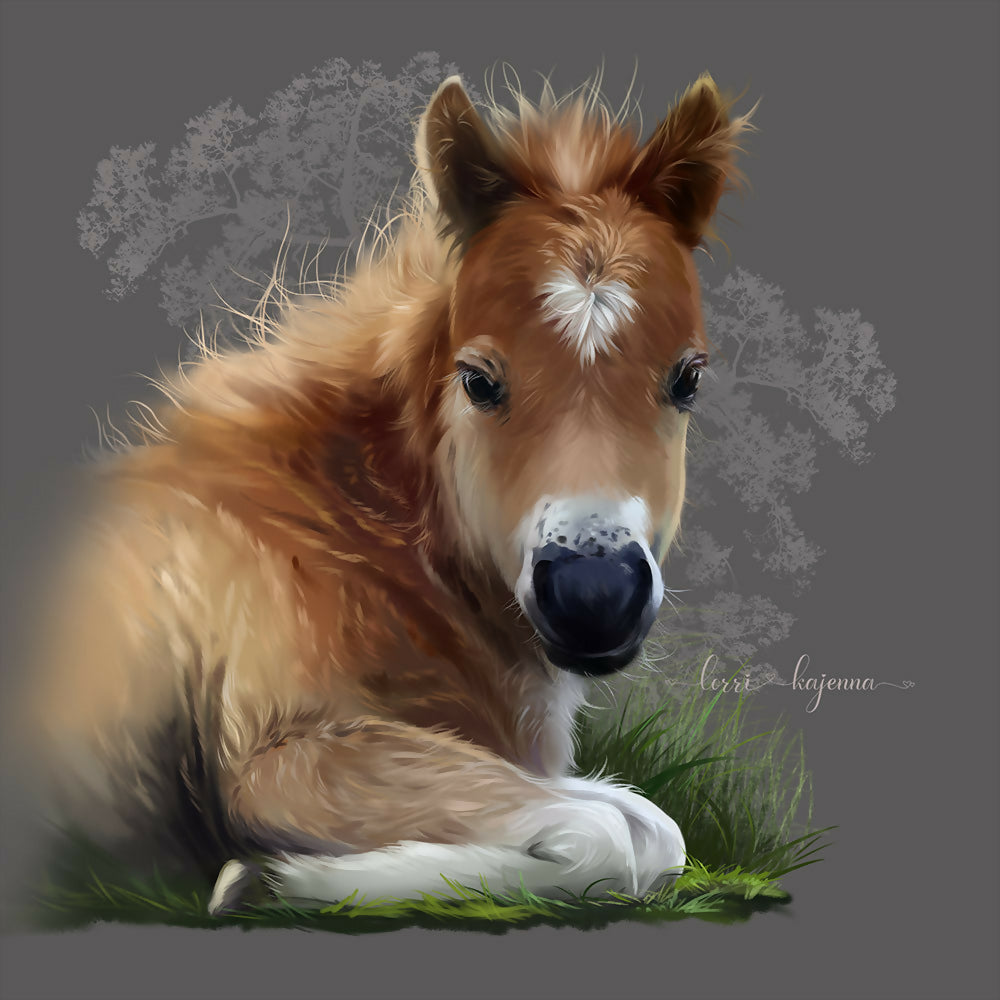 The foal