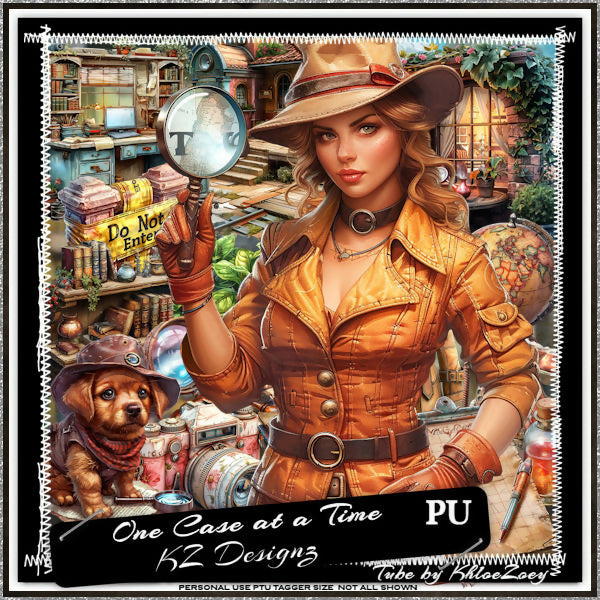 One Case at a Time 1 PREVIEW PU