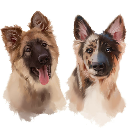 Cold Evening in the Park