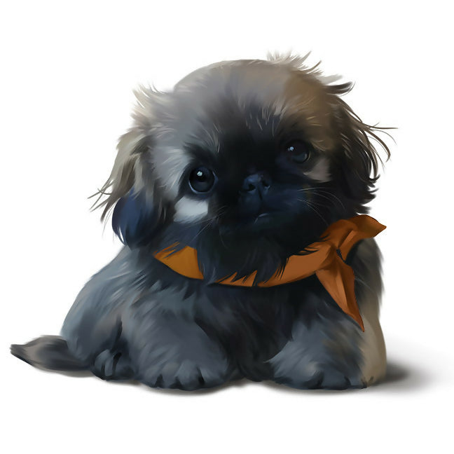 Pekingese