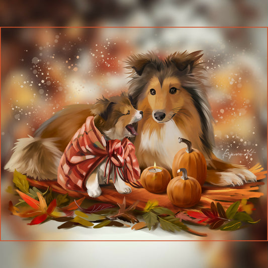Sheltie family