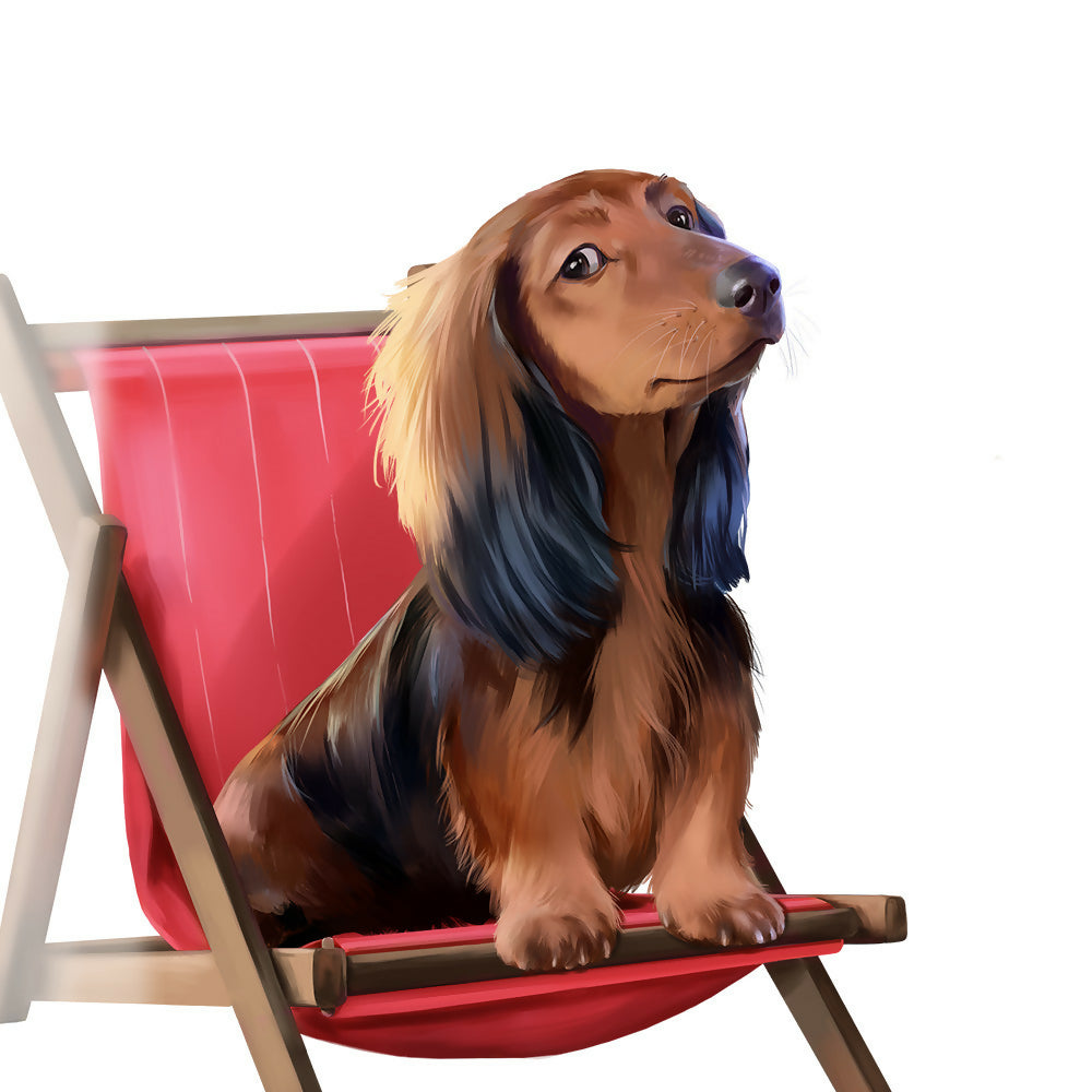 Dachshund