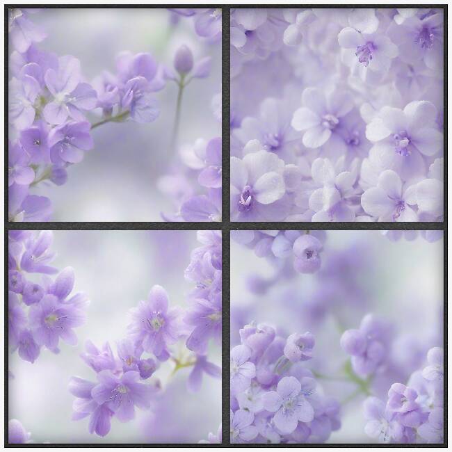 AI - CU4CU - Purple Florals #1