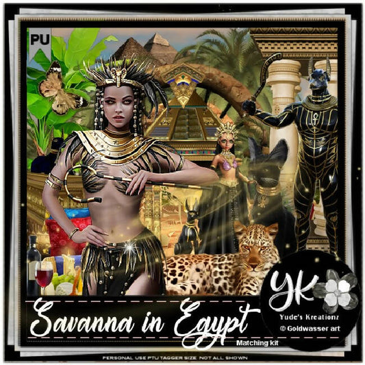 Savanna in Egipt
