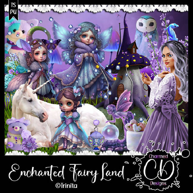 Enchanted Fairy Land