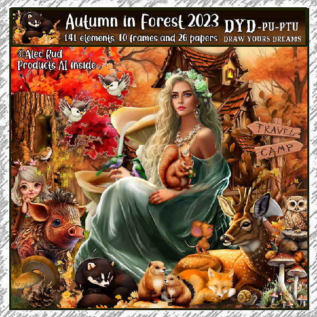 Autumn in Forest 2023