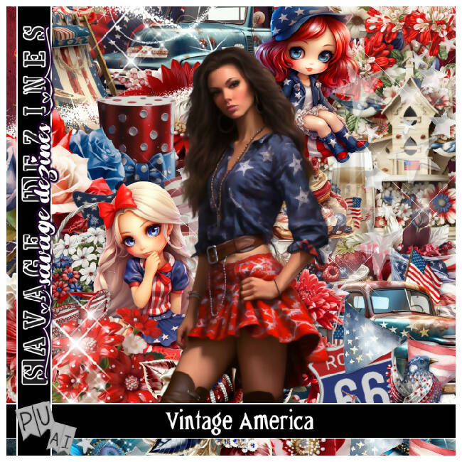 Vintage America Kit